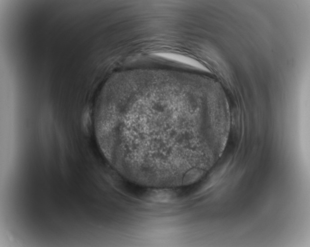 X0000093430127200711091443