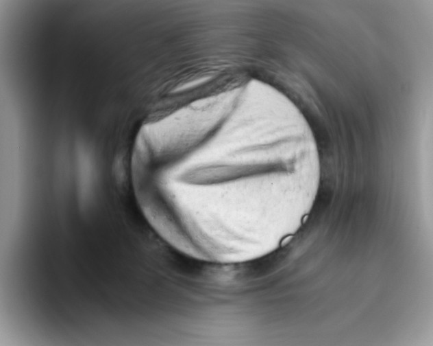 X0000093430131200711091443