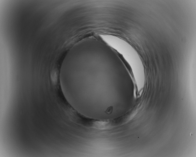X0000093430139200711091442