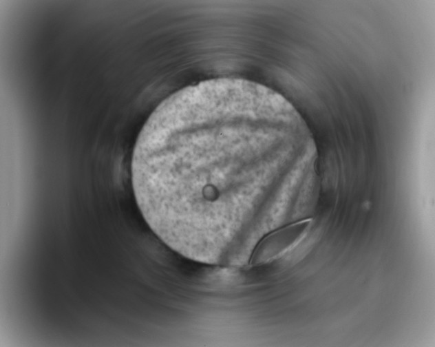 X0000093430140200711091442
