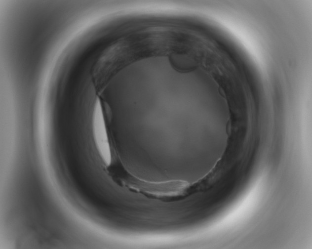 X0000093430143200711091442