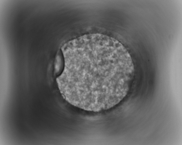 X0000093430144200711091442