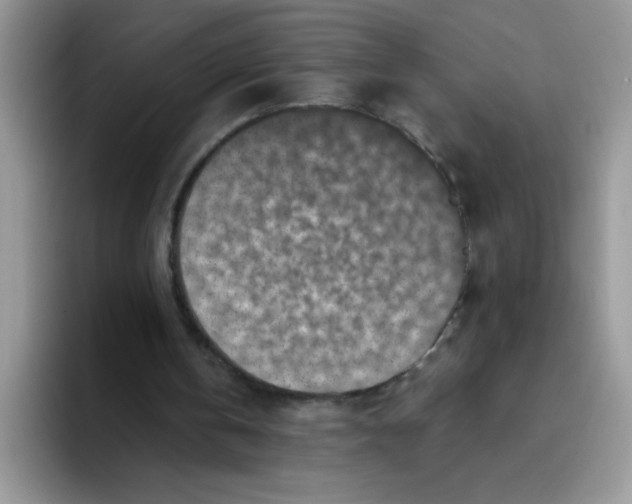 X0000093430146200711091442