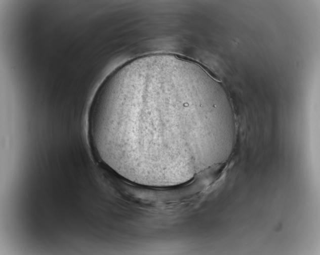 X0000093430148200711091442
