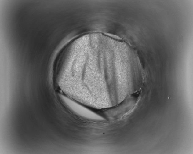 X0000093430150200711091442