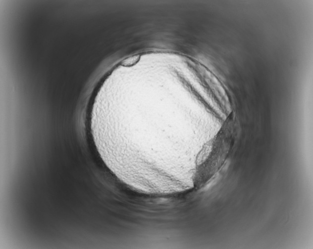 X0000093430151200711091442