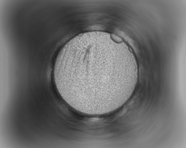 X0000093430153200711091442
