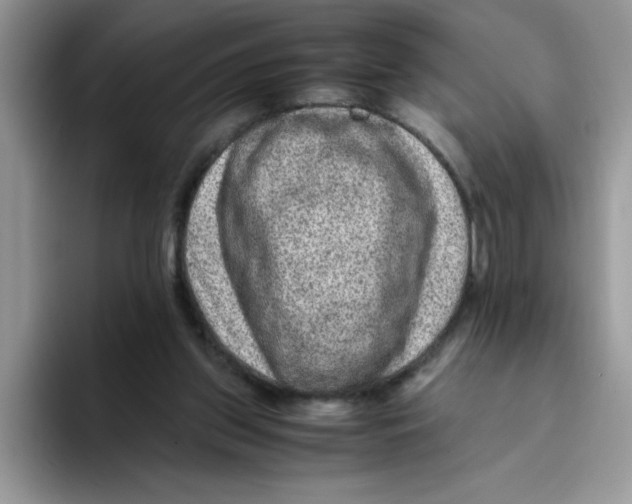 X0000093430157200711091442