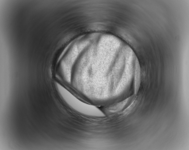 X0000093430158200711091442