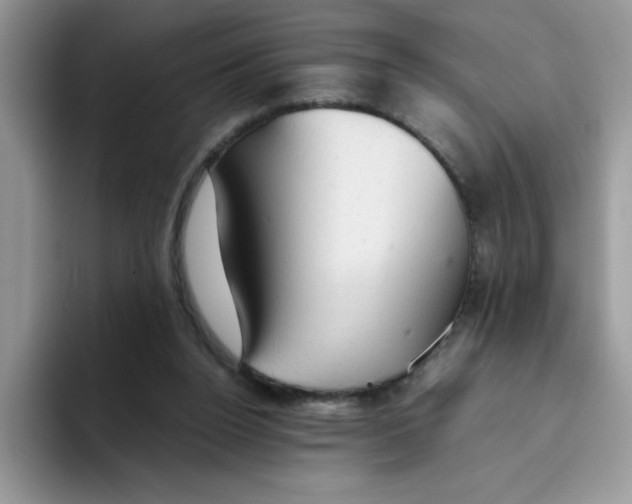 X0000093430160200711091442