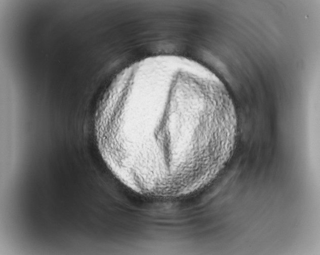 X0000093430161200711091442