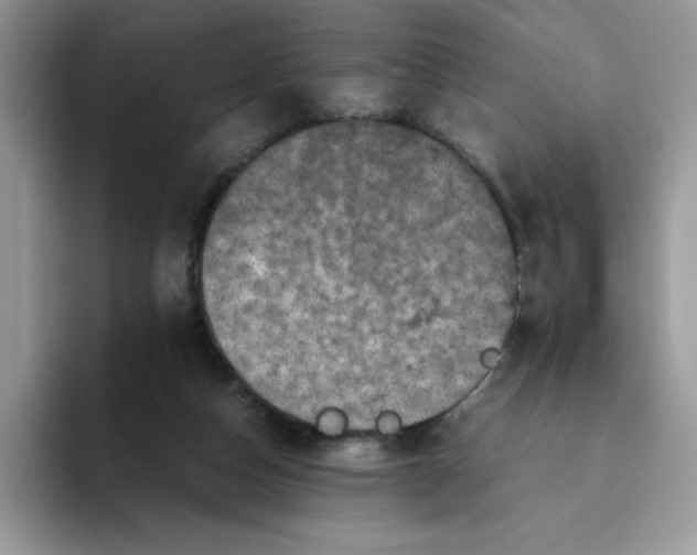 X0000093430162200711091442