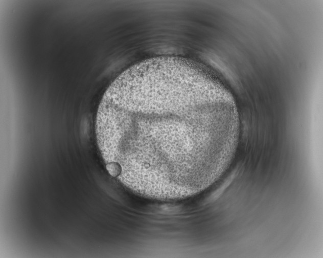 X0000093430165200711091442