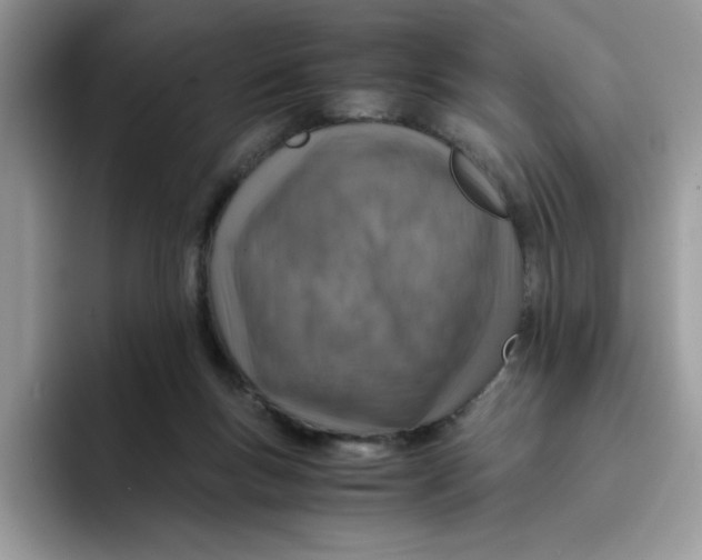 X0000093430167200711091442