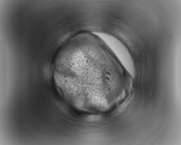 X0000093430168200711091442