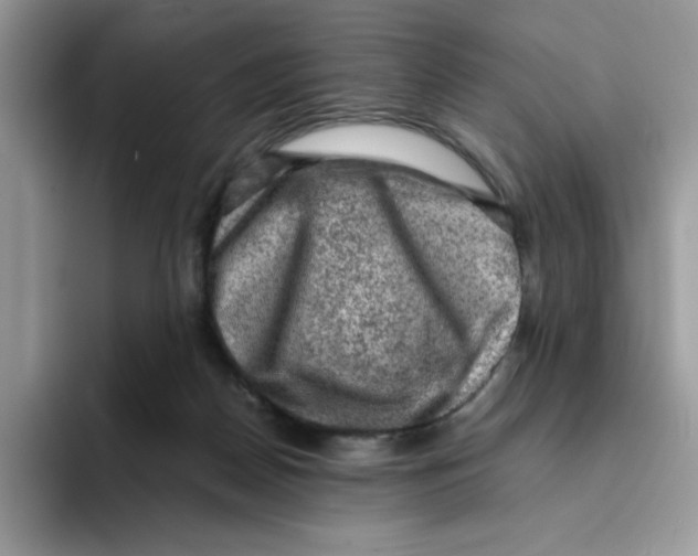 X0000093430170200711091442