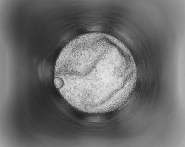 X0000093430171200711091442