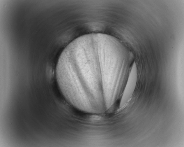 X0000093430176200711091442