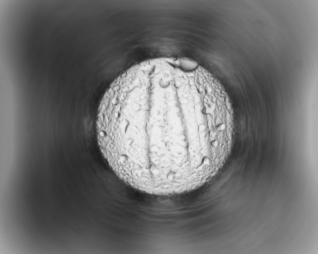 X0000093430177200711091442