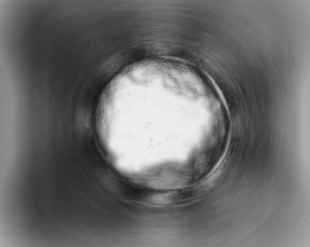 X0000093430178200711091442