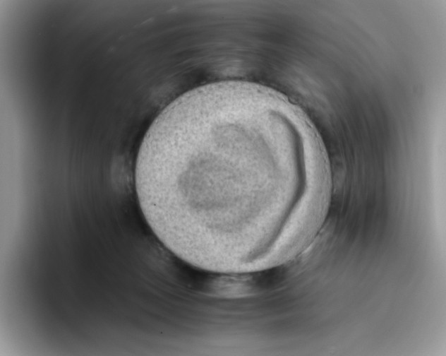 X0000093430179200711091442