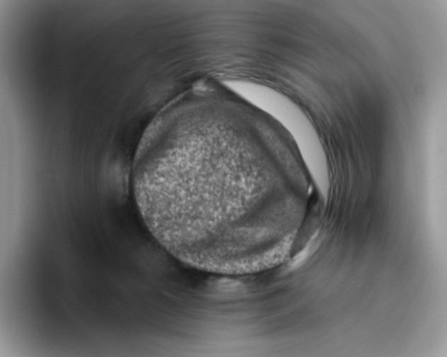 X0000093430180200711091442