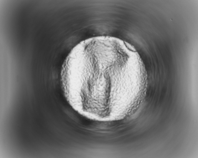 X0000093430182200711091442