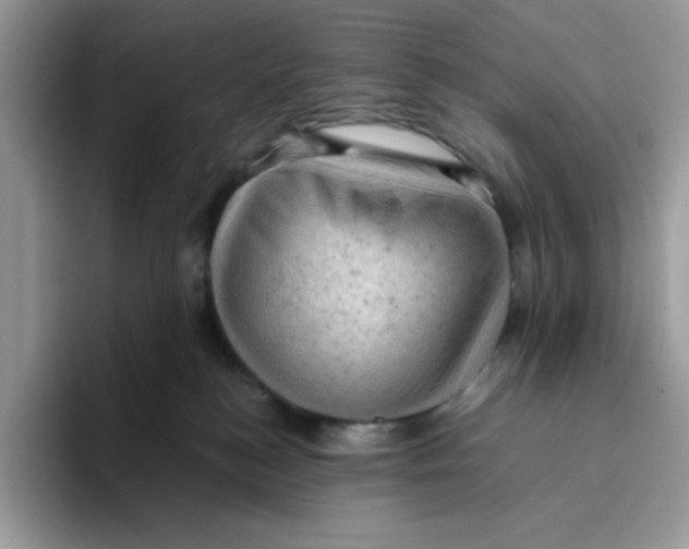 X0000093430184200711091442