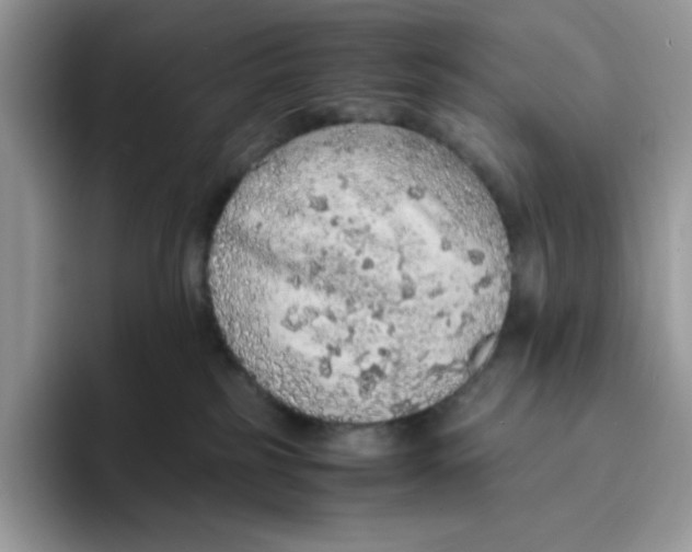 X0000093430185200711091442
