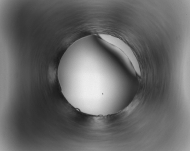 X0000093430188200711091442