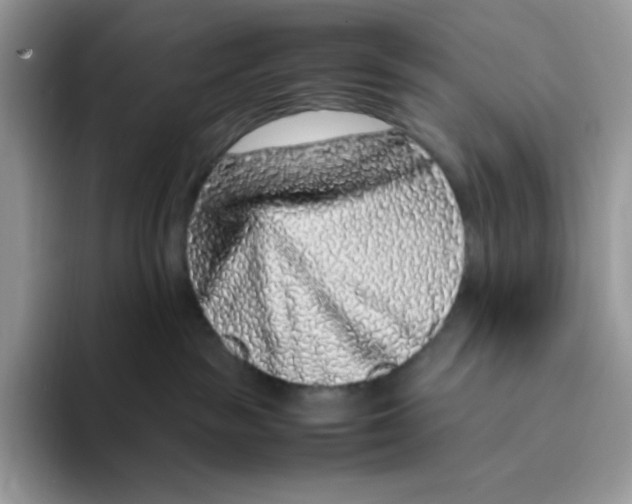 X0000093430189200711091442