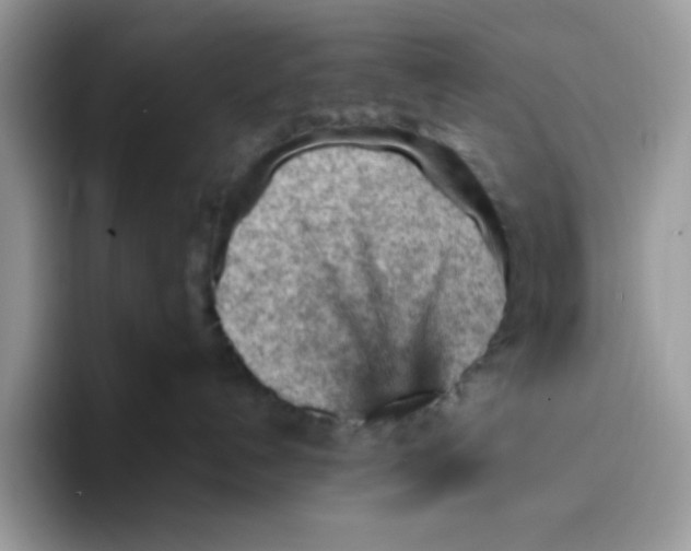 X0000093430192200711091442