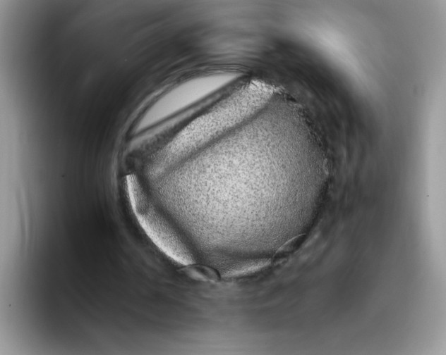 X0000093430194200711091442