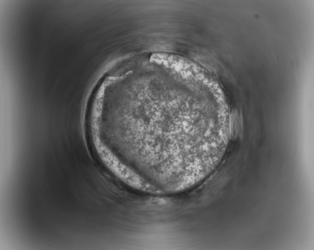 X0000093430195200711091442