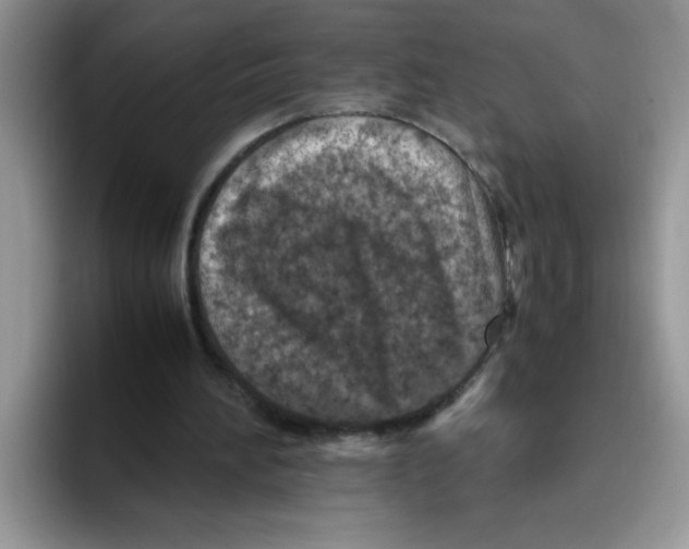 X0000093430196200711091442