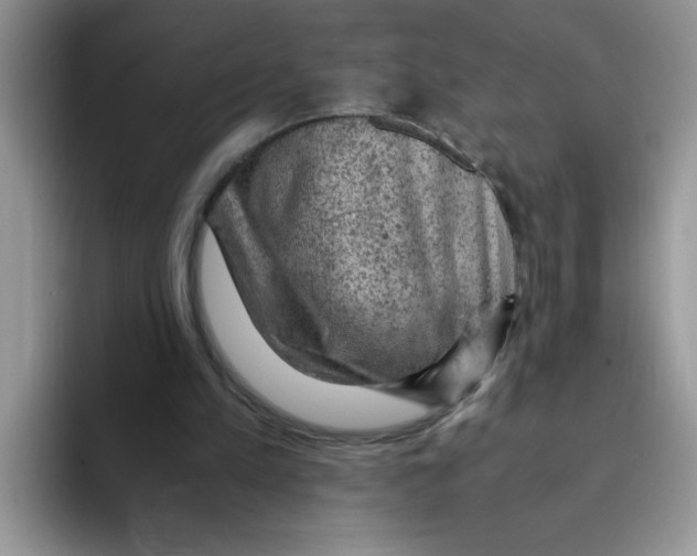 X0000093430197200711091442