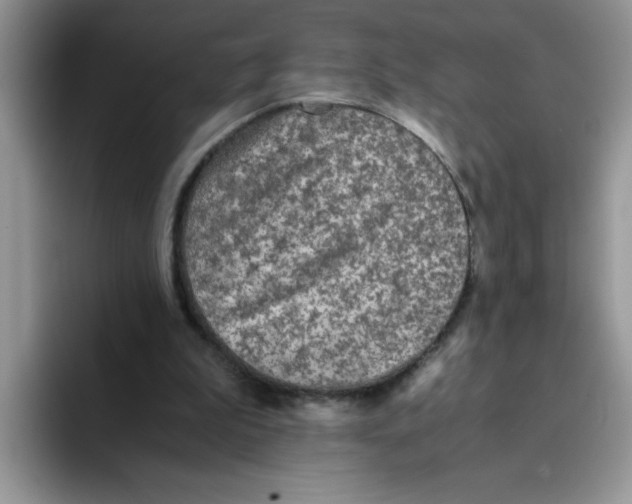 X0000093430199200711091442