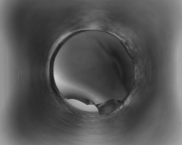 X0000093430200200711091442