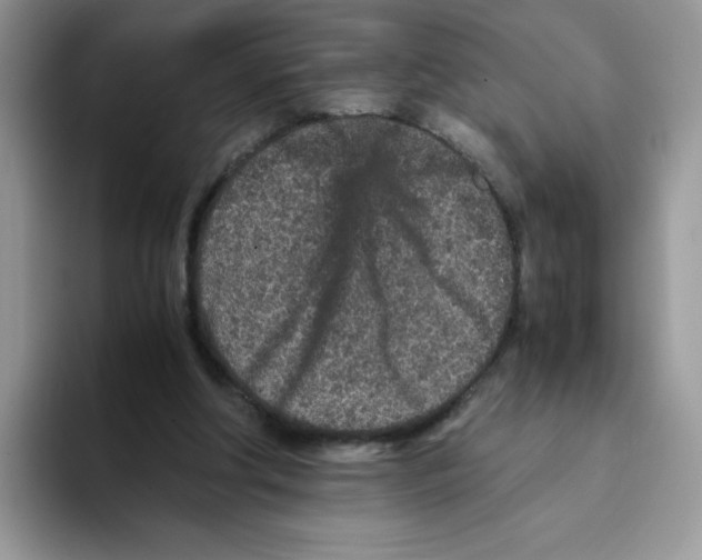 X0000093430202200711091442