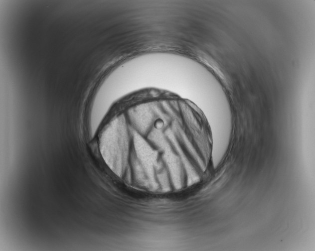 X0000093430203200711091442