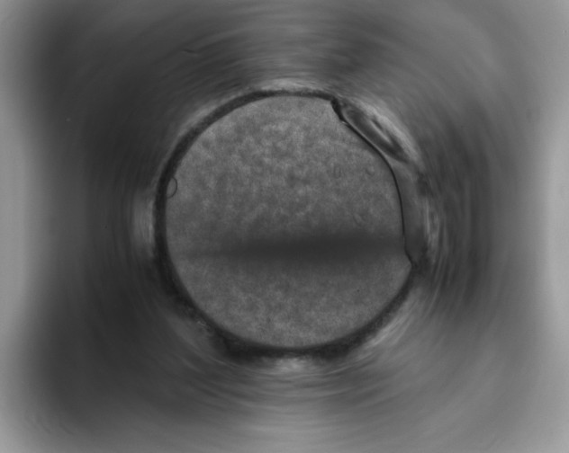 X0000093430204200711091442