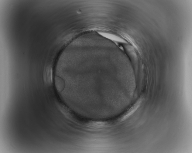 X0000093430205200711091442