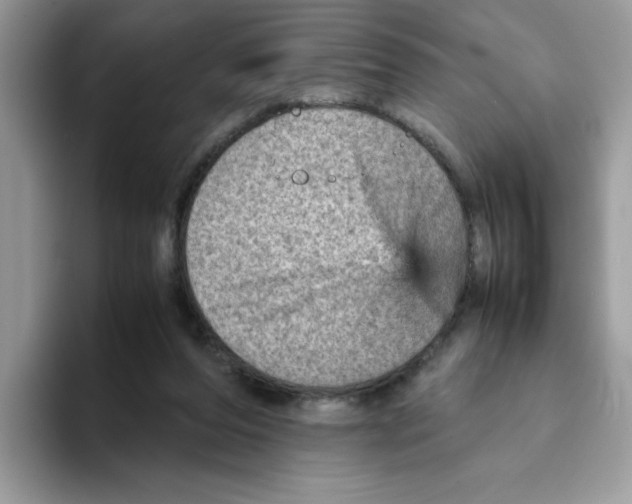 X0000093430208200711091441