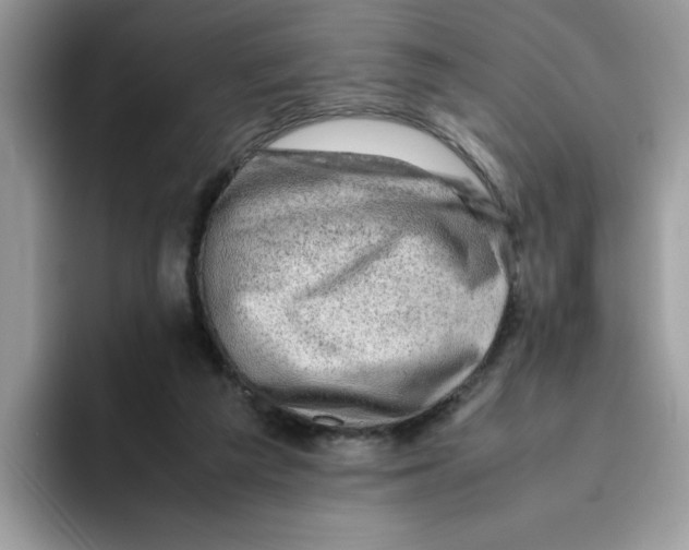 X0000093430209200711091441
