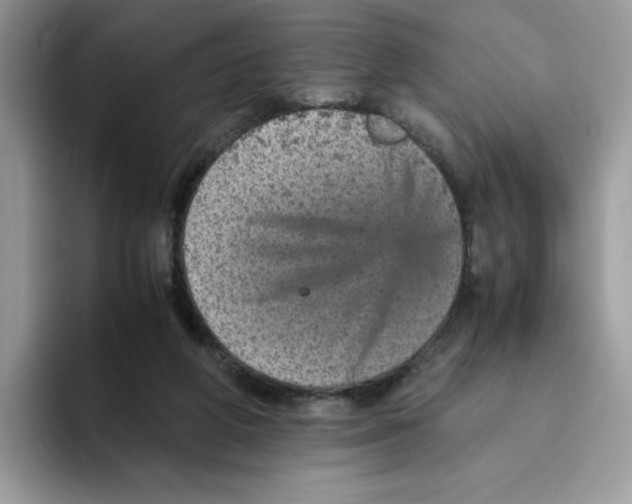 X0000093430210200711091441