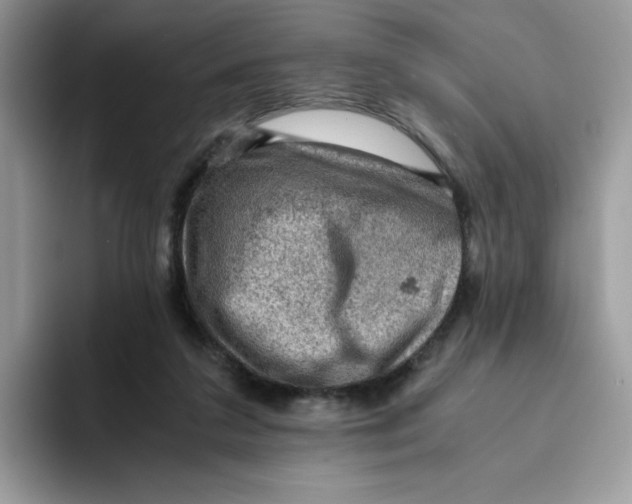 X0000093430211200711091441