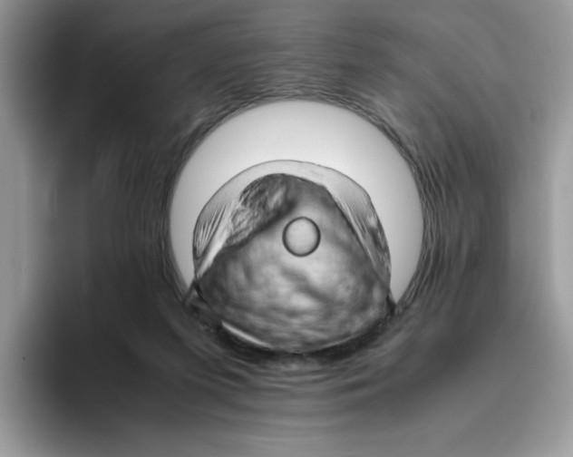 X0000093430215200711091441