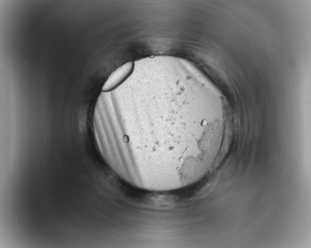 X0000093430221200711091441