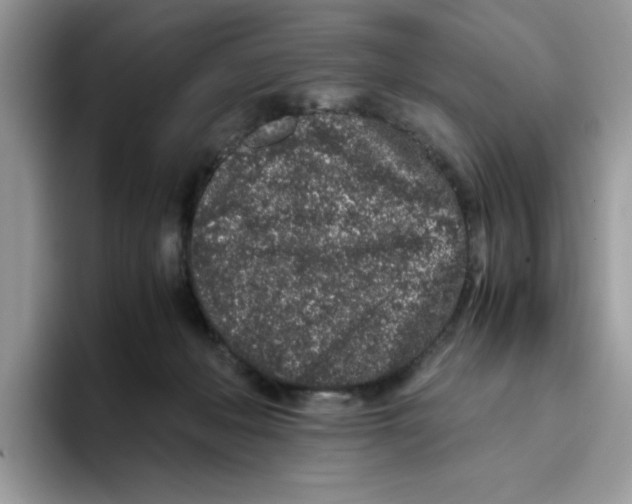 X0000093430222200711091441