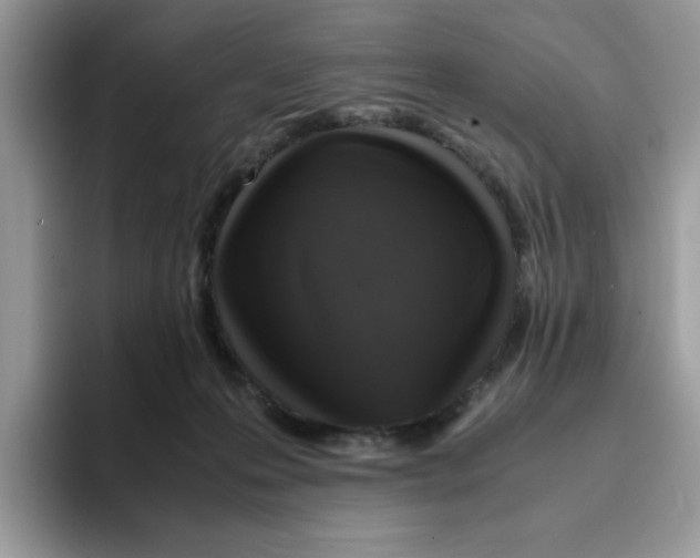 X0000093430223200711091441